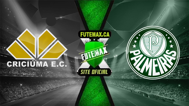 Assistir Criciúma x Palmeiras ao vivo online HD 02/06/2024